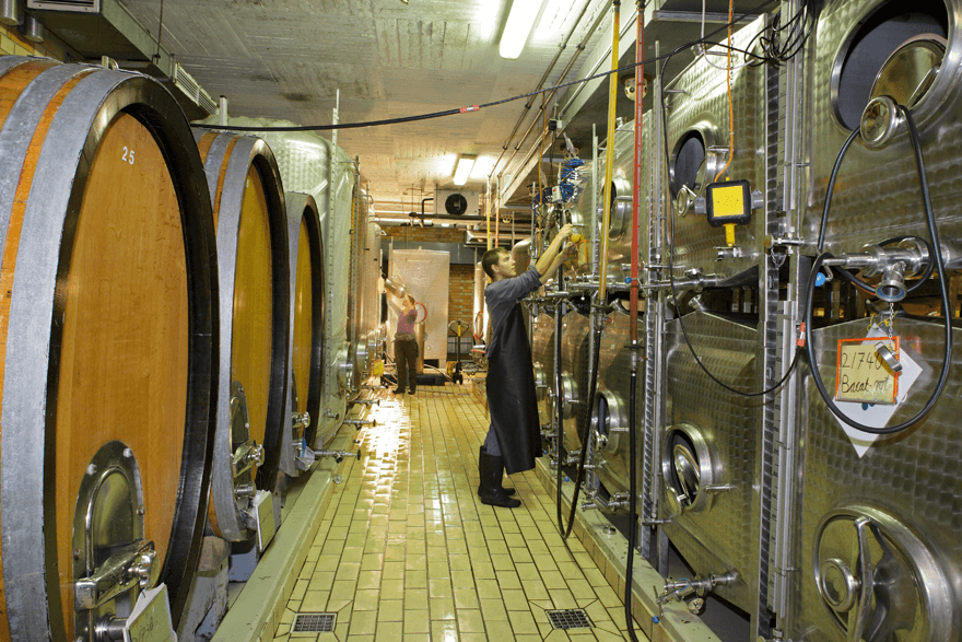 Auszubildende bei der Arbeit im Weinkeller