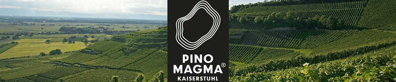 Pino Magma Shop